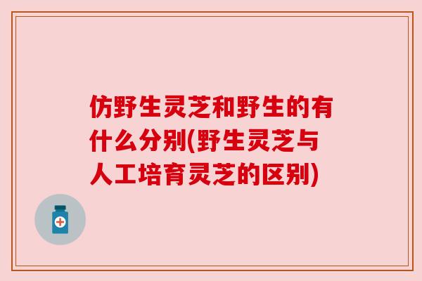 仿野生灵芝和野生的有什么分别(野生灵芝与人工培育灵芝的区别)