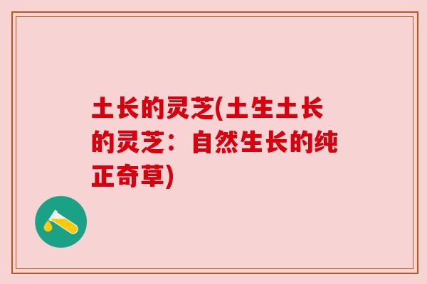土长的灵芝(土生土长的灵芝:自然生长的纯正奇草)