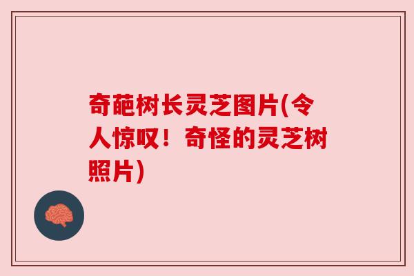 奇葩树长灵芝图片(令人惊叹!奇怪的灵芝树照片)