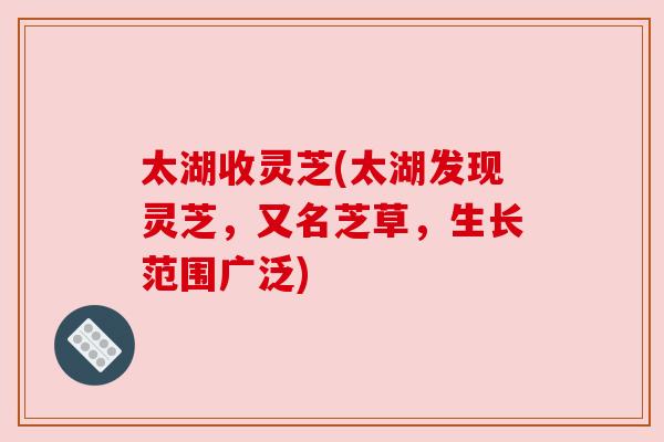 太湖收灵芝(太湖发现灵芝,又名芝草,生长范围广泛)