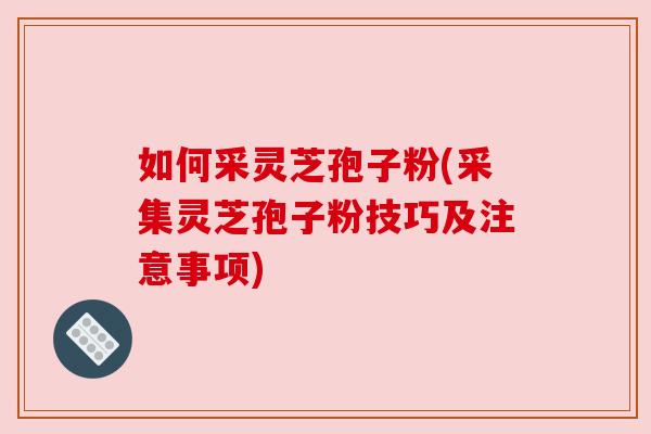 如何采灵芝孢子粉(采集灵芝孢子粉技巧及注意事项)