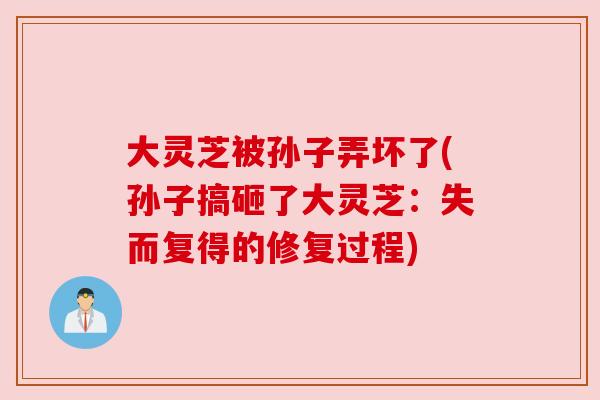 大灵芝被孙子弄坏了(孙子搞砸了大灵芝:失而复得的修复过程)