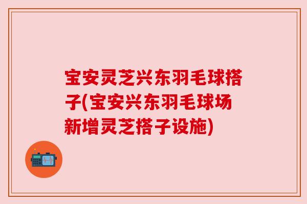 宝安灵芝兴东羽毛球搭子(宝安兴东羽毛球场新增灵芝搭子设施)