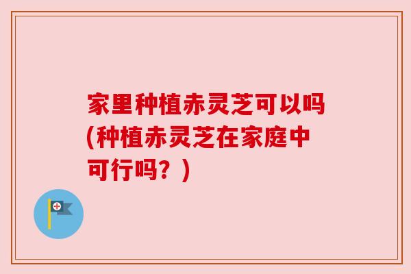 家里种植赤灵芝可以吗(种植赤灵芝在家庭中可行吗?)