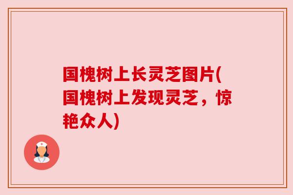 国槐树上长灵芝图片(国槐树上发现灵芝，惊艳众人)