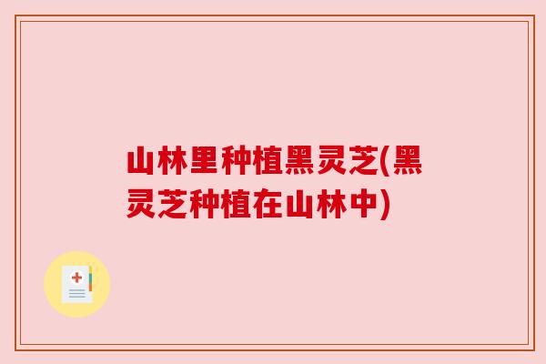 山林里种植黑灵芝(黑灵芝种植在山林中)