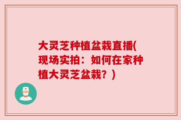 大灵芝种植盆栽直播(现场实拍:如何在家种植大灵芝盆栽?)