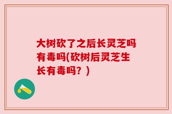 大树砍了之后长灵芝吗有毒吗(砍树后灵芝生长有毒吗?)