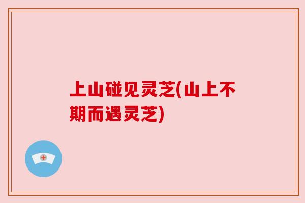上山碰见灵芝(山上不期而遇灵芝)