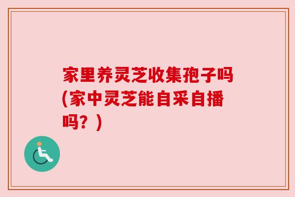 家里养灵芝收集孢子吗(家中灵芝能自采自播吗？)