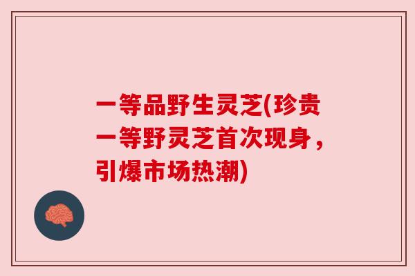 一等品野生灵芝(珍贵一等野灵芝首次现身，引爆市场热潮)