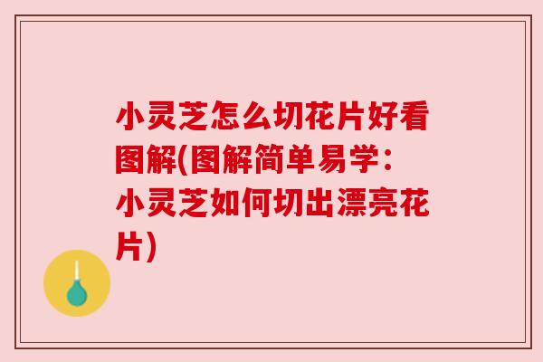 小灵芝怎么切花片好看图解(图解简单易学:小灵芝如何切出漂亮花片)