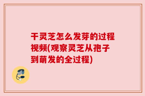 干灵芝怎么发芽的过程视频(观察灵芝从孢子到萌发的全过程)