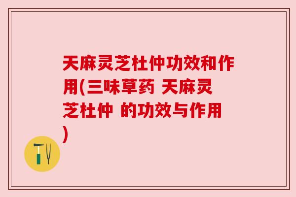 天麻灵芝杜仲功效和作用(三味草药 天麻灵芝杜仲 的功效与作用)