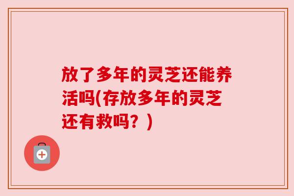 放了多年的灵芝还能养活吗(存放多年的灵芝还有救吗?)