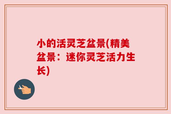 小的活灵芝盆景(精美盆景:迷你灵芝活力生长)
