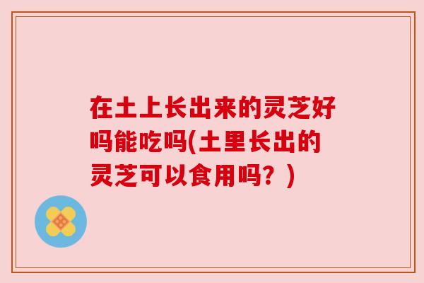 在土上长出来的灵芝好吗能吃吗(土里长出的灵芝可以食用吗？)
