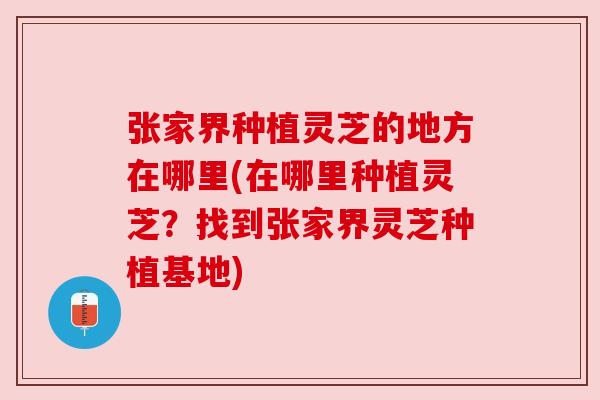 张家界种植灵芝的地方在哪里(在哪里种植灵芝?找到张家界灵芝种植基地)