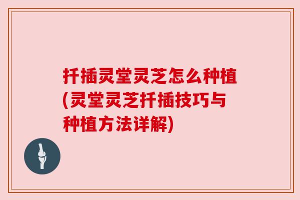 扦插灵堂灵芝怎么种植(灵堂灵芝扦插技巧与种植方法详解)
