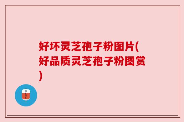 好坏灵芝孢子粉图片(好品质灵芝孢子粉图赏)