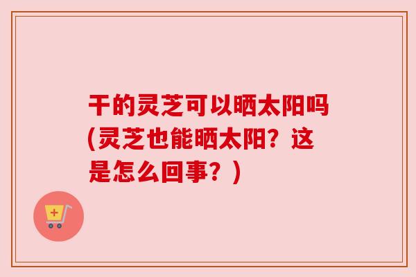 干的灵芝可以晒太阳吗(灵芝也能晒太阳?这是怎么回事?)