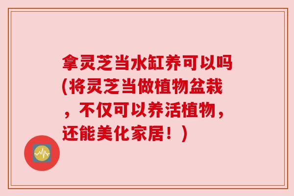 拿灵芝当水缸养可以吗(将灵芝当做植物盆栽，不仅可以养活植物，还能美化家居！)