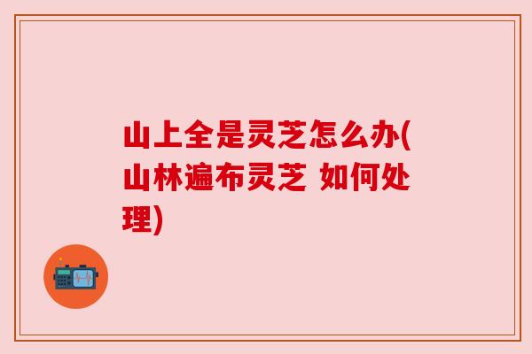 山上全是灵芝怎么办(山林遍布灵芝 如何处理)