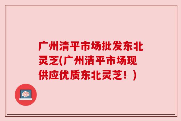 广州清平市场批发东北灵芝(广州清平市场现供应优质东北灵芝!)