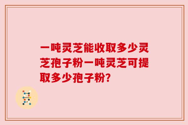 一吨灵芝能收取多少灵芝孢子粉一吨灵芝可提取多少孢子粉？