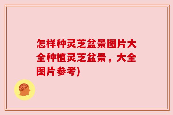 怎样种灵芝盆景图片大全种植灵芝盆景,大全图片参考)