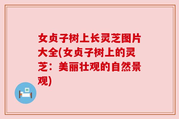 女贞子树上长灵芝图片大全(女贞子树上的灵芝：美丽壮观的自然景观)
