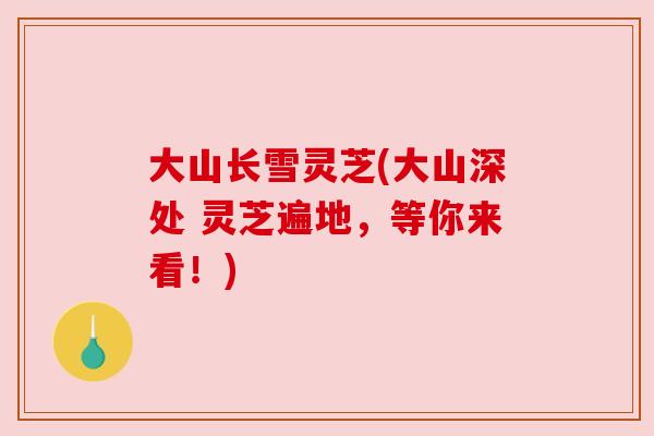 大山长雪灵芝(大山深处 灵芝遍地，等你来看！)