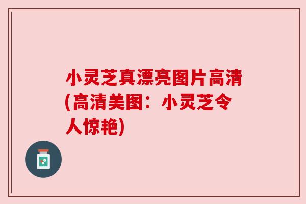 小灵芝真漂亮图片高清(高清美图:小灵芝令人惊艳)