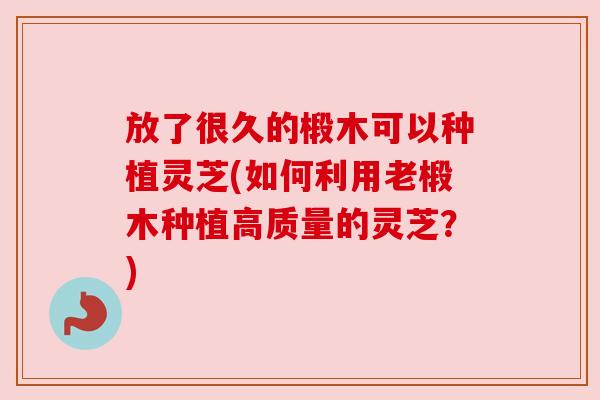 放了很久的椴木可以种植灵芝(如何利用老椴木种植高质量的灵芝?)