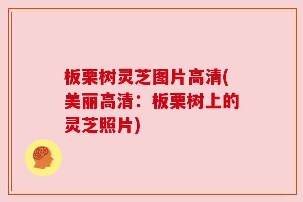 板栗树灵芝图片高清(美丽高清:板栗树上的灵芝照片)