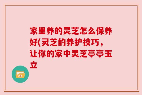 家里养的灵芝怎么保养好(灵芝的养护技巧,让你的家中灵芝亭亭玉立