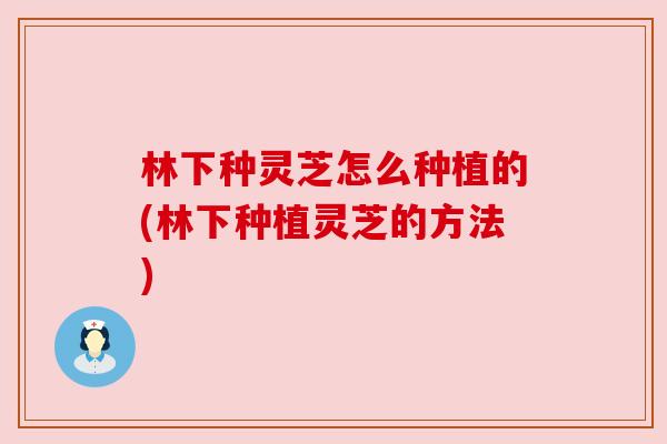 林下种灵芝怎么种植的(林下种植灵芝的方法)