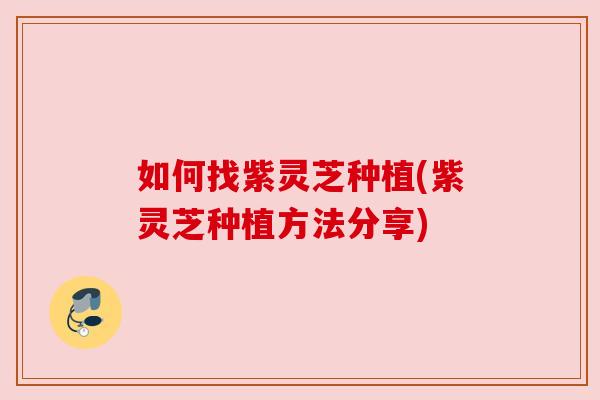 如何找紫灵芝种植(紫灵芝种植方法分享)