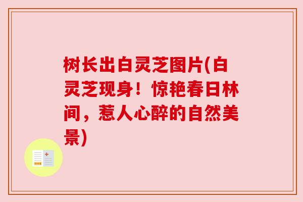树长出白灵芝图片(白灵芝现身！惊艳春日林间，惹人心醉的自然美景)