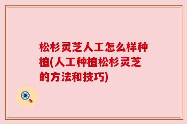 松杉灵芝人工怎么样种植(人工种植松杉灵芝的方法和技巧)