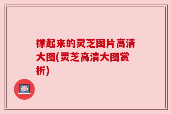 撑起来的灵芝图片高清大图(灵芝高清大图赏析)