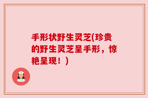 手形状野生灵芝(珍贵的野生灵芝呈手形,惊艳呈现!)