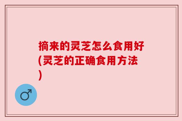 摘来的灵芝怎么食用好(灵芝的正确食用方法)