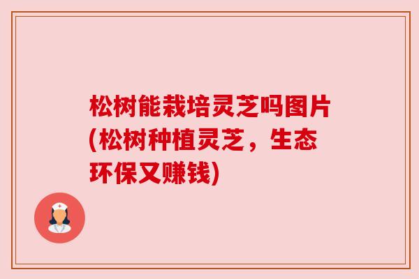 松树能栽培灵芝吗图片(松树种植灵芝，生态环保又赚钱)