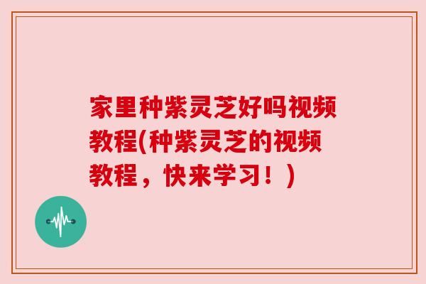家里种紫灵芝好吗视频教程(种紫灵芝的视频教程,快来学习!)