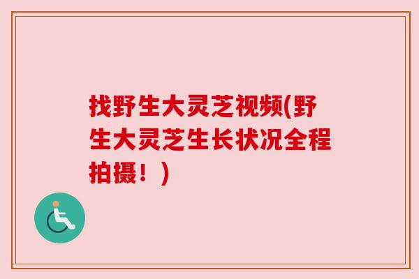 找野生大灵芝视频(野生大灵芝生长状况全程拍摄！)