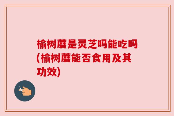 榆树蘑是灵芝吗能吃吗(榆树蘑能否食用及其功效)