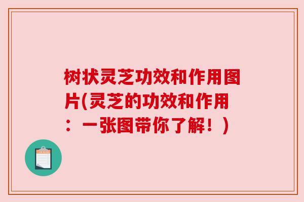 树状灵芝功效和作用图片(灵芝的功效和作用：一张图带你了解！)