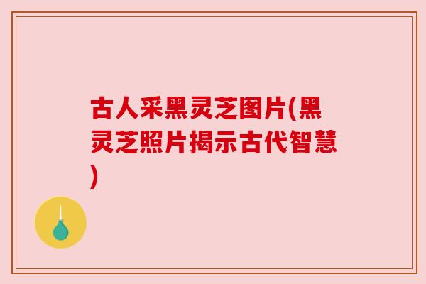 古人采黑灵芝图片(黑灵芝照片揭示古代智慧)