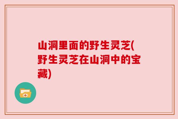 山洞里面的野生灵芝(野生灵芝在山洞中的宝藏)